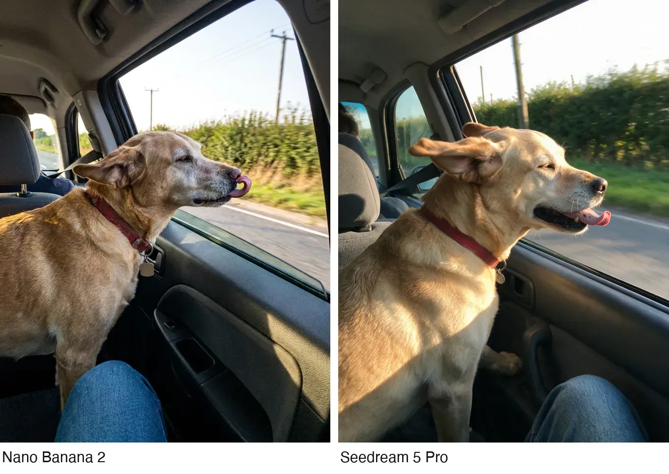 Two back-seat photos of the same yellow Labrador sitting by a car window, a passenger's knees in jeans at the bottom of the frame, labelled Nano Banana 2 and Seedream 5 Pro